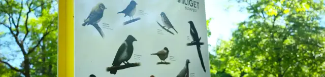 Madárbarátok tanösvénye