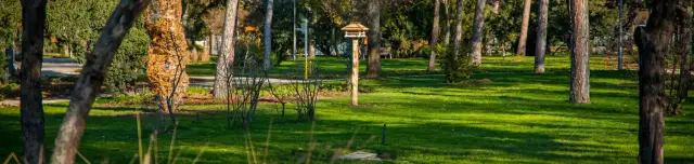 Mőcsényi Mihály botanikus kert