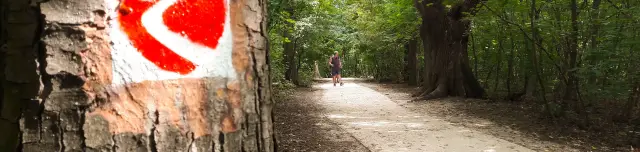 Normafa Kardioösvény