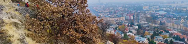 Sas-hegy Tanösvény