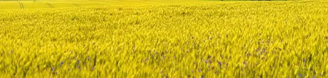 Látványos élménytúra