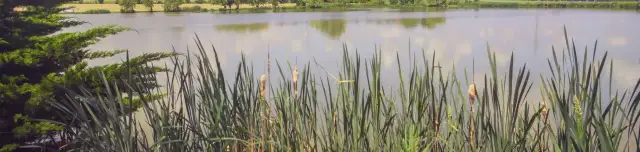 Nem csak boldog asszonyok - kerékpártúra