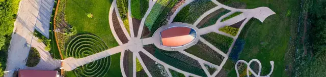 Gyuri bácsi gyógynövény kertje