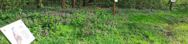 Botanikai-zoológiai tanösvény