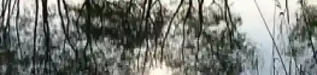 Göbölyvölgyi bányató