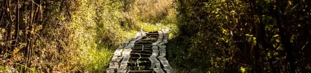 Vörös-mocsár tanösvény