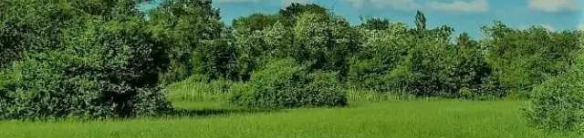 Csömöri Ősláp Park