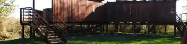 Madárles és Csillagvárta