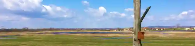 Madárdal tanösvény