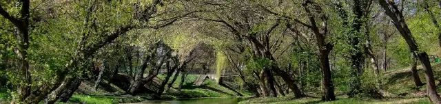 Wenckheim-kastélypark