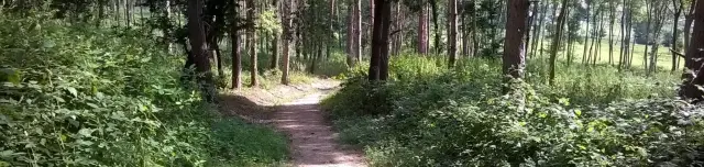 Csodaszarvas tanösvény