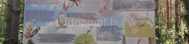 Erdőismereti tanösvény