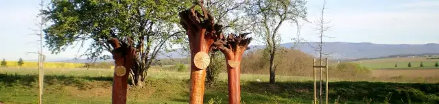 Történelmi Emlékpark