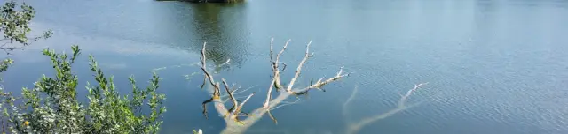 Morotva-tavi tanösvény