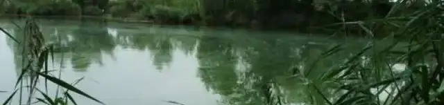 Dunaszentpáli kavicsbányató