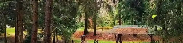 Baracsi úti Arborétum