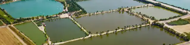 Moby Dick Horgásztó