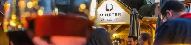 Demeter Borbár 44.