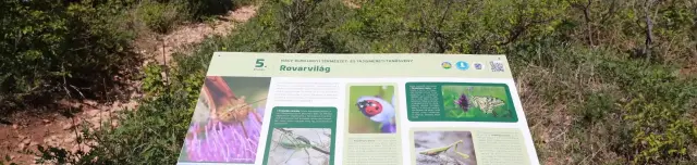 Nagy-Eged hegyi Tanösvény