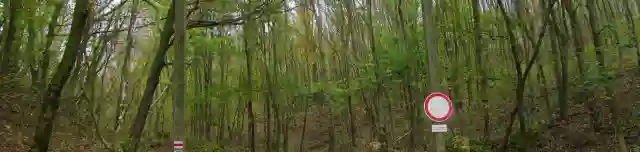 Ámos-hegyi tanösvény