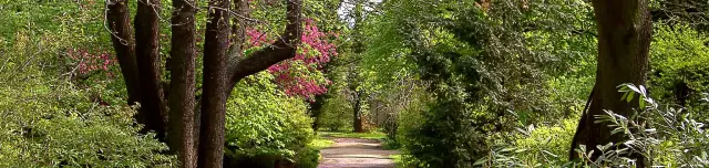 Erdőtelki arborétum