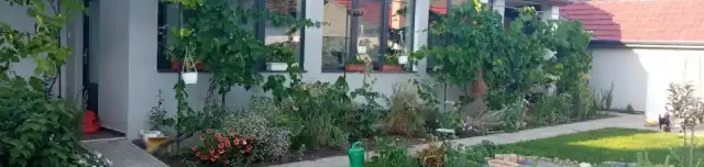 Fecskefészek Vendégház