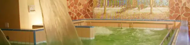 Fehérgyarmati Gyógyfürdő