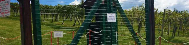 Vasfüggöny Múzeum