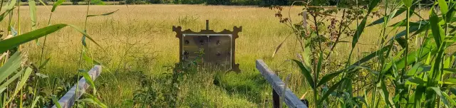 Békakonty tanösvény