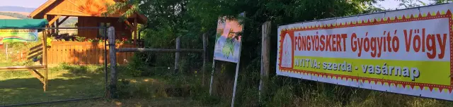 Föngyöskert Gyógyító Völgy