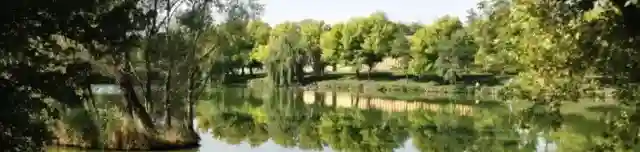 Zoltán és Diana Horgásztó és Pihenőpark