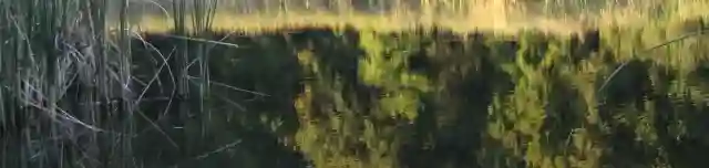 Babatvölgyi Horgásztó