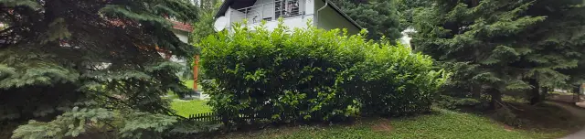 Gyepűszéle Vendégház