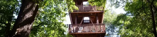 Erzsébet ligeti lombkoronasétány és kilátó