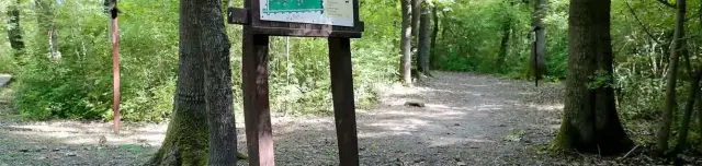 Püspökerdei tanösvény