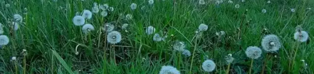 Fricke György kilátó