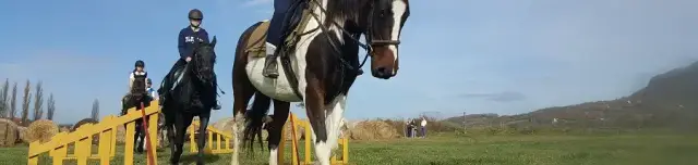 Gyula Vezér Lovasbirodalma