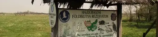 Földikutya-rezervátum