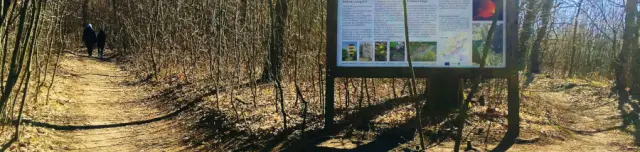 Halom-hegyi Vulkán-tanösvény