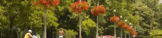 Zsigmondy sétány, park