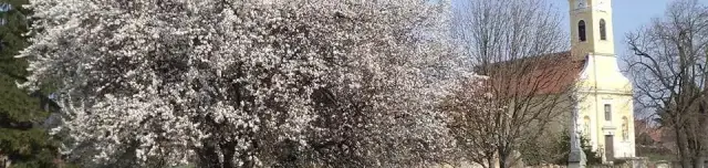 Szent Mihály templom