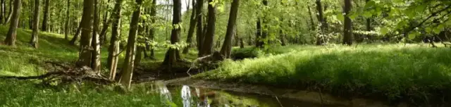 Rókalyuk turistaösvény