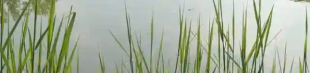 Hegykői Horgásztó