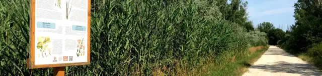 Hegykői Tanösvény