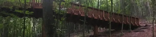 Lombkorona tanösvény