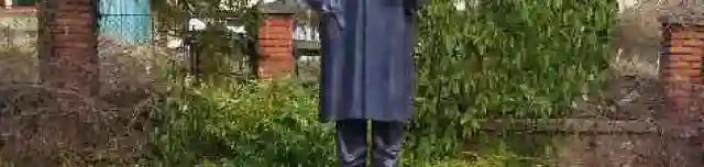 Dr. Moll Károly szobor