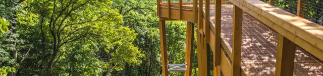 A Hévízi-tónál 15 méter magas lombkoronakilátót és tanösvényt adtak át