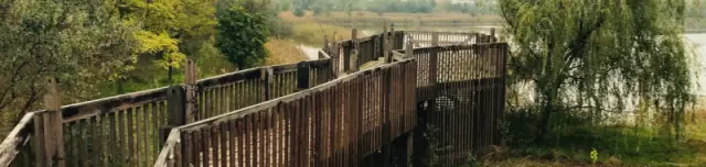 Téglagyári tanösvény