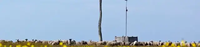 Hortobágyi Nemzeti Park