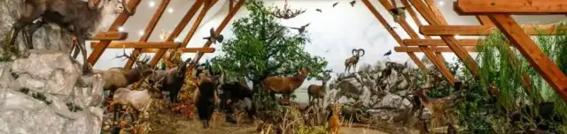 Hunor Vadászati Kiállítás